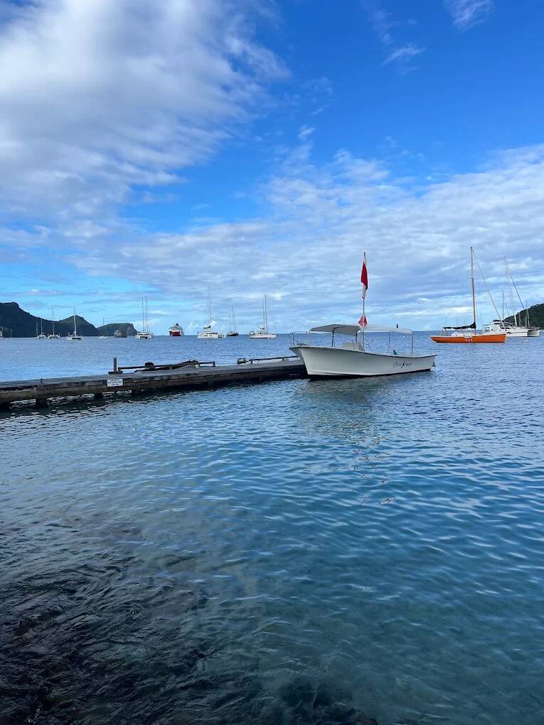 The Dive Bequia boat moored at the dock in Admiralty Bay, Bequia
