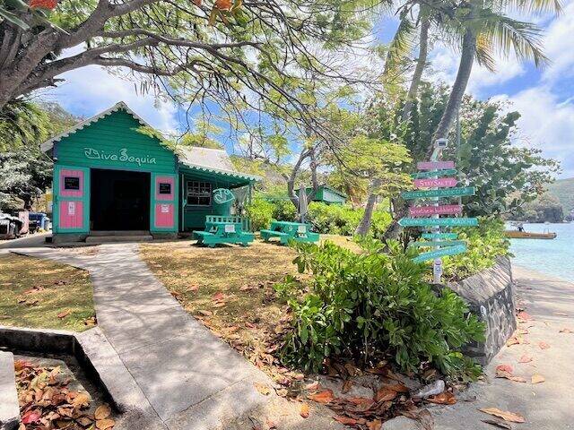 The Dive Bequia shop front, a teal and pink cottage surrounded by palm trees